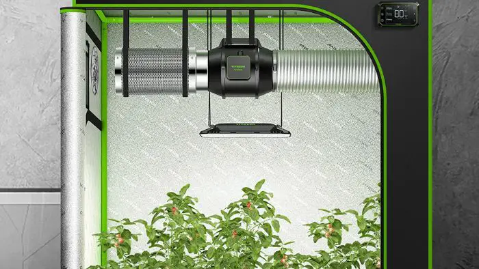  Does a sealed grow room need fresh air?