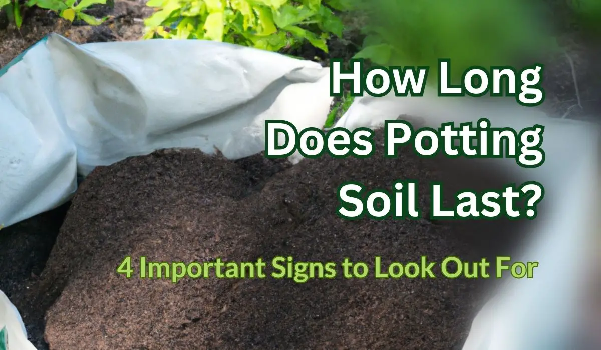 Does Potting Soil Go Bad